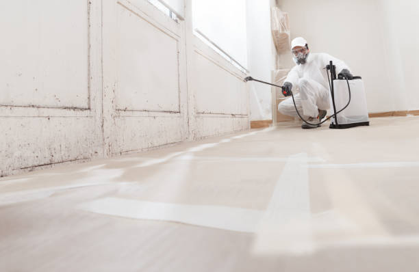 24/7 Emergency Black Mold Remediation experts in Clarksville, VA