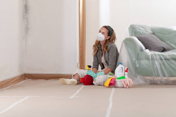 Reliable Black Mold Remediation contractor in Clarksville, VA by Car Mold Remediation