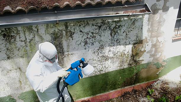 Top rated local Black Mold Remediation specialists in Clarksville, VA